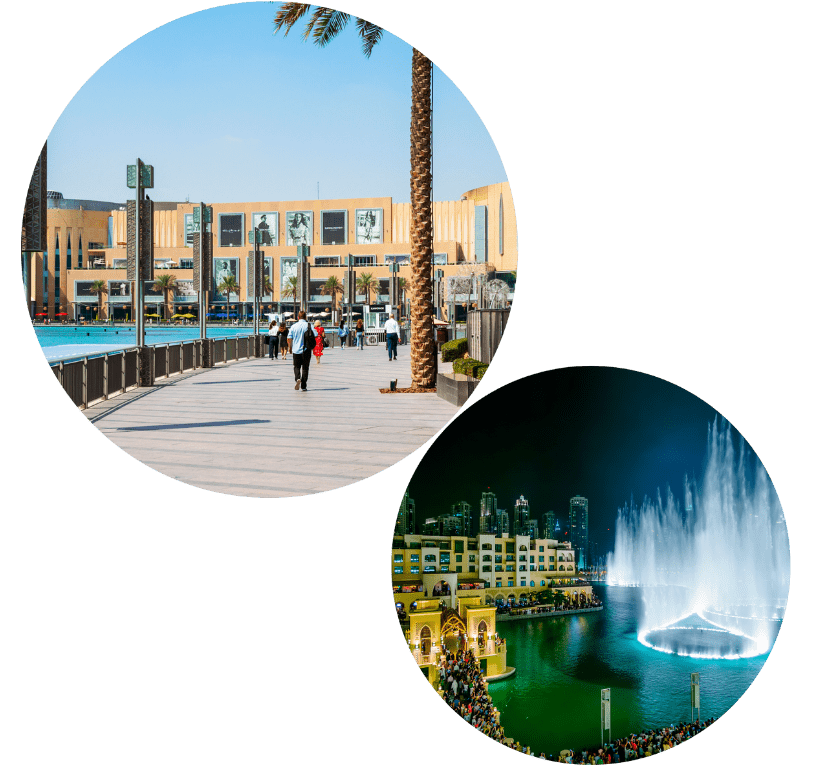 Freezone business setup services in the UAE